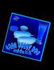 Skunk pressing of CDD first cd